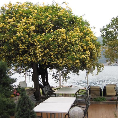 Piccolo Hotel Direkt Am See Brenzone sul Garda Exterior foto
